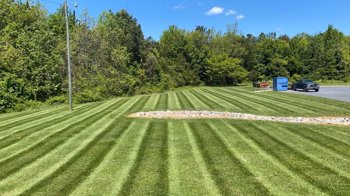 red clay landscapers llc professional services project photo