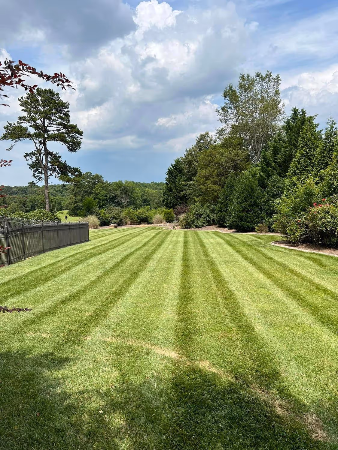 Well-maintained lawn with alternating light and dark green stripes, bordered by trees and a metal fence under a partly cloudy sky.