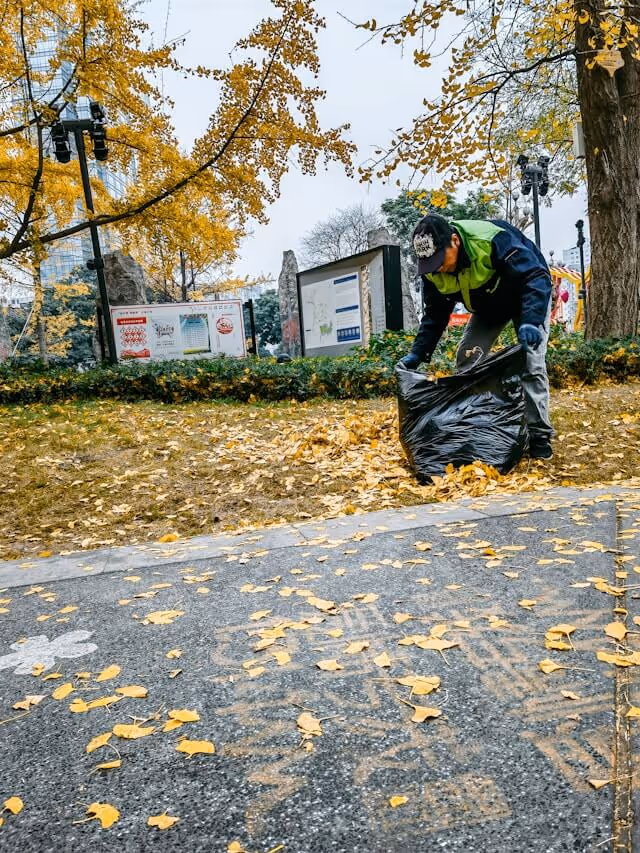 Worker wearing a green and navy jacket and cap collecting yellow fallen leaves into a large black trash bag in a park with autumn foliage.
